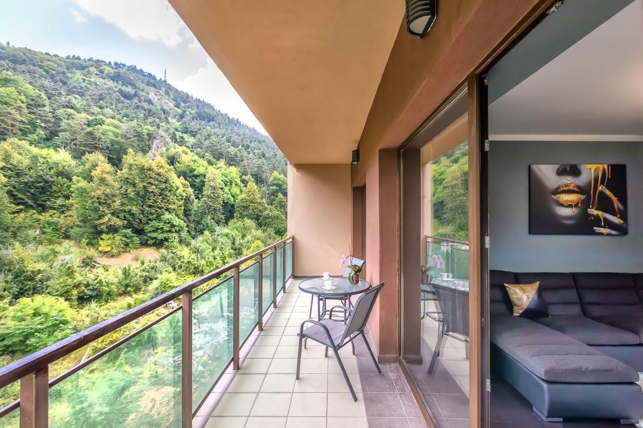 Tampa Gardens Apartments - Adults Only Brasov Luaran gambar
